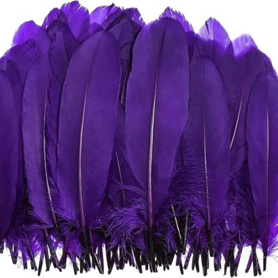 Pretty Feathers - 12Pc - Purple